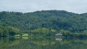 嵯峨野と田植え