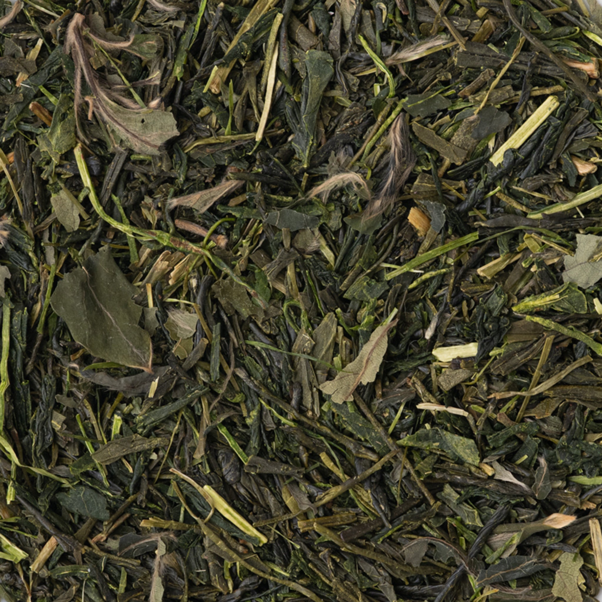 TEA – 冬夏 TOKA